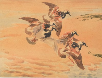 Lot 201 - Richard Barrett Talbot Kelly MBE RI SWLA  (1896-1971) Turnstones