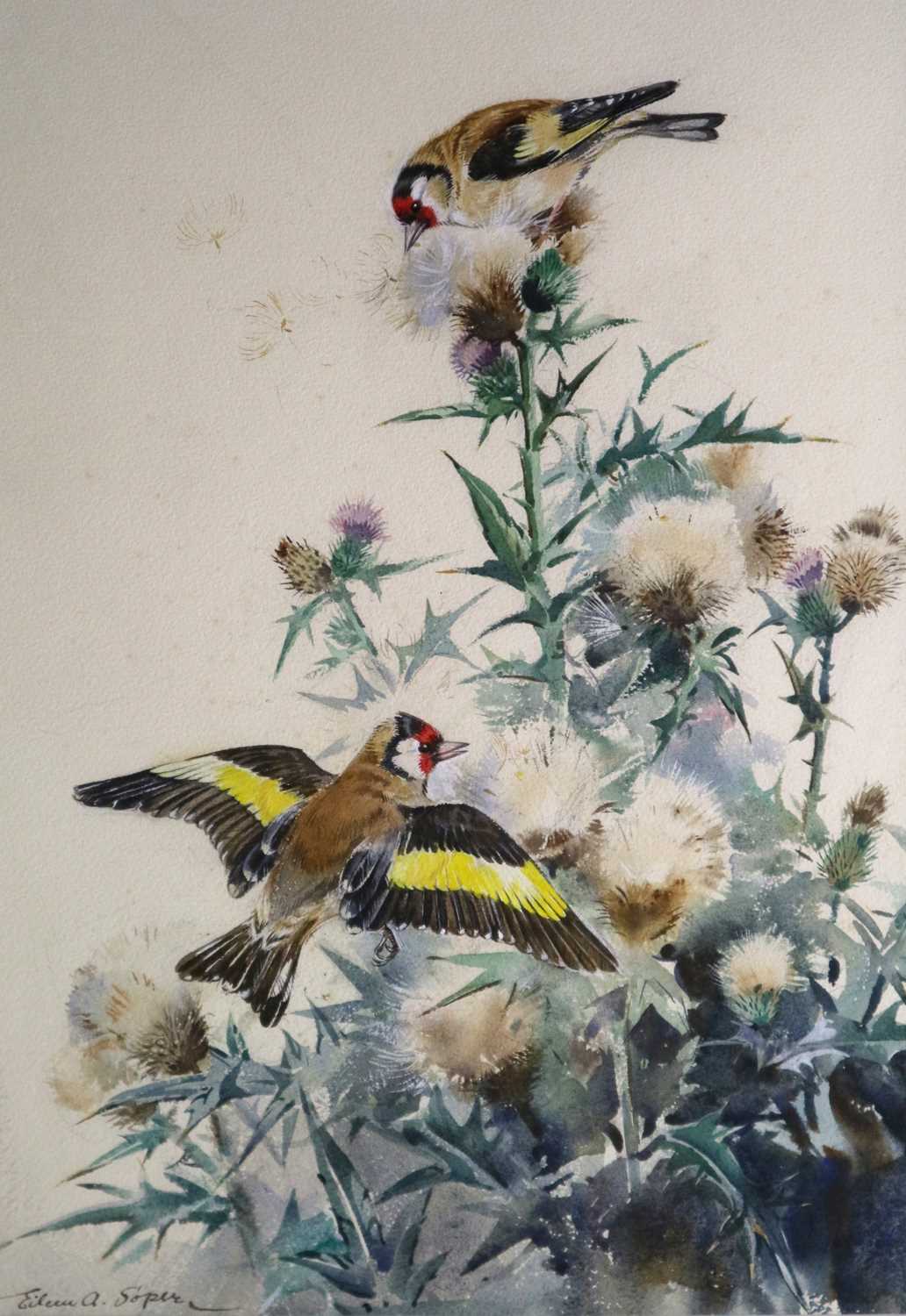Lot 63 - Eileen Alice Soper RMS SWLA (1905-1990) Goldfinches and Thistledown