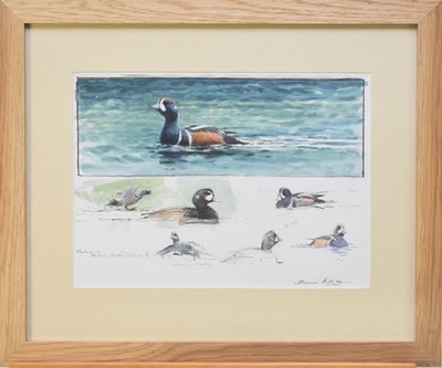 Lot 193 - Bruce Edward Pearson (b.1950) Two studies of Harlequin Ducks