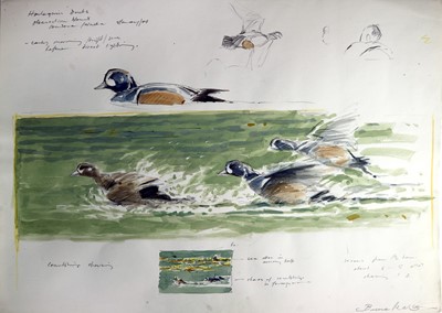 Lot 193 - Bruce Edward Pearson (b.1950) Two studies of Harlequin Ducks