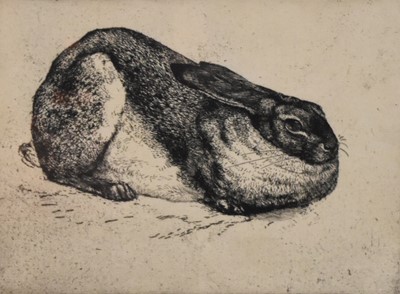 Lot 254 - Charles Frederick Tunnicliffe OBE RA (British, 1901-1979), The Sitting Hare