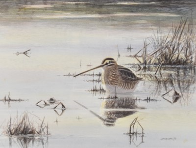 Lot 209 - David Daly (b.1956) Snipe