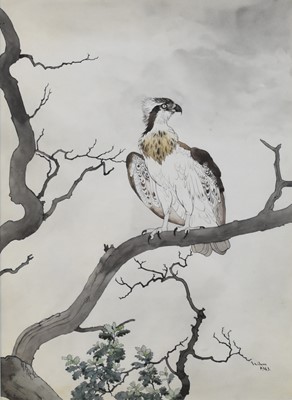 Lot 199 - Maurice Wilson SWLA RI (1914-1987) Osprey