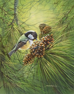 Lot 213 - David Hyde (b.1947) Coal Tit