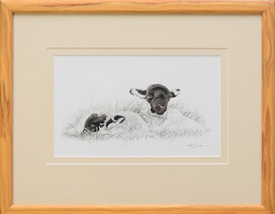 Lot 214 - Keith Brockie (b.1955) Border Collie and Lambs Book Illustrations