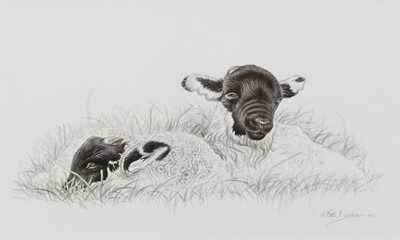 Lot 214 - Keith Brockie (b.1955) Border Collie and Lambs Book Illustrations