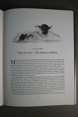 Lot 214 - Keith Brockie (b.1955) Border Collie and Lambs Book Illustrations