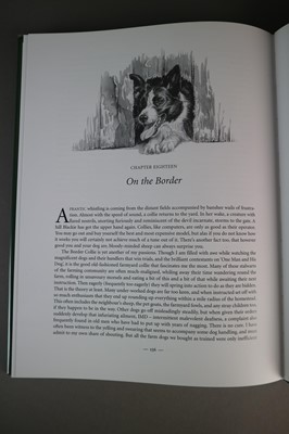 Lot 214 - Keith Brockie (b.1955) Border Collie and Lambs Book Illustrations