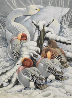 Lot 262 - David Binns SWLA (British 1935-2020), Swan and Widgeon