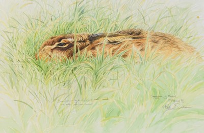 Lot 177 - Keith Brockie (b.1955) Brown Hare in Winter Cereal