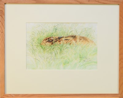 Lot 177 - Keith Brockie (b.1955) Brown Hare in Winter Cereal