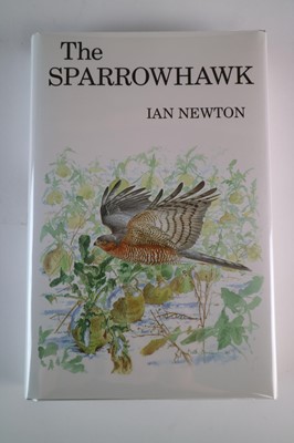 Lot 195 - Keith Brockie (b.1955) Three Book Illustrations of Kestrels and Sparrowhawks