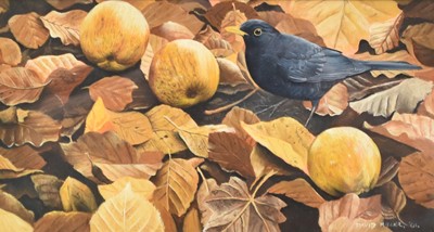 Lot 219 - David Miller (b.1966) Blackbird and Windfalls