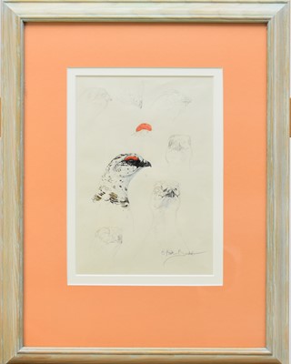 Lot 221 - Keith Brockie (b.1955) Three Studies of an Osprey, Heron and Ptarmigan