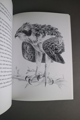 Lot 221 - Keith Brockie (b.1955) Three Studies of an Osprey, Heron and Ptarmigan
