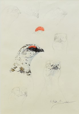 Lot 221 - Keith Brockie (b.1955) Three Studies of an Osprey, Heron and Ptarmigan