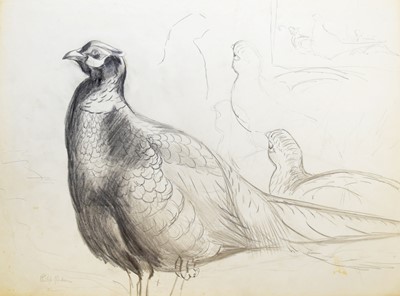 Lot 224 - Philip Rickman (British 1891-1982) Gamebird and Pheasant Studies