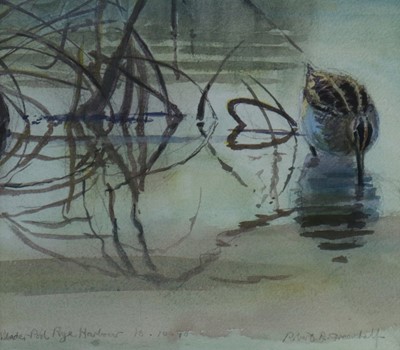 Lot 191 - Robert Greenhalf SWLA (b.1950) Snipe, Rye Harbour and two further works