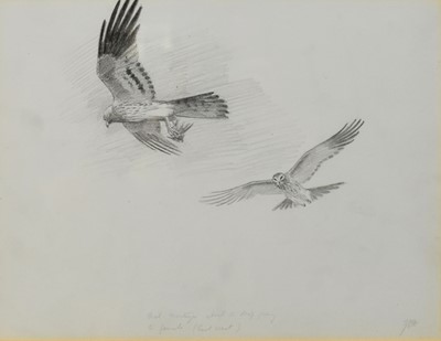Lot 227 - John Cyril Harrison (British 1895-1985) Two Harrier Studies