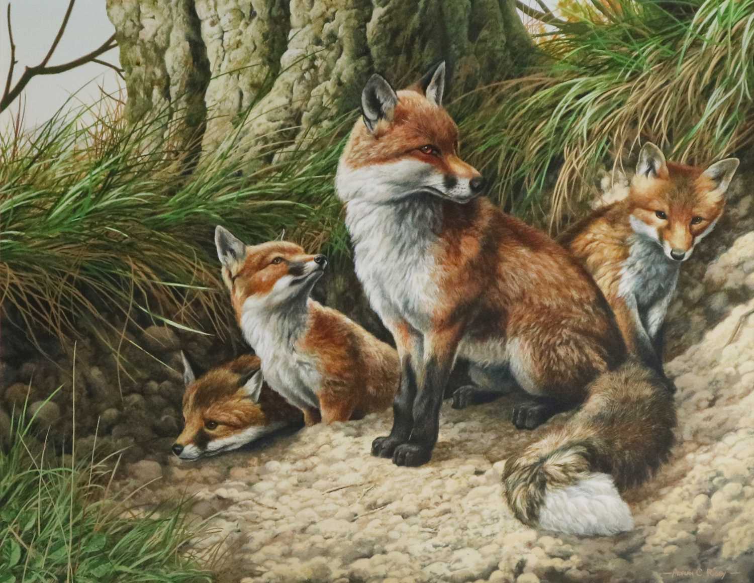 Lot 67 - Adrian C Rigby (b.1962) A Family of Foxes