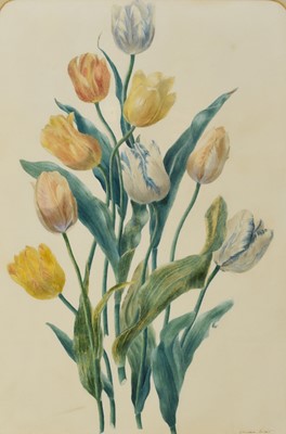 Lot 250 - British School (19th Century) Still Life Study of Tulips