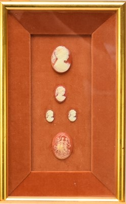 Lot 429 - A collection of plaster cameos, shell cameos and wax seals, all framed