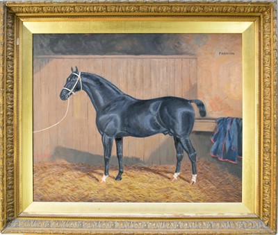 Lot 269 - A* Clovik (British, late 19th/early 20th century), a black stallion, 'Fashion', oil