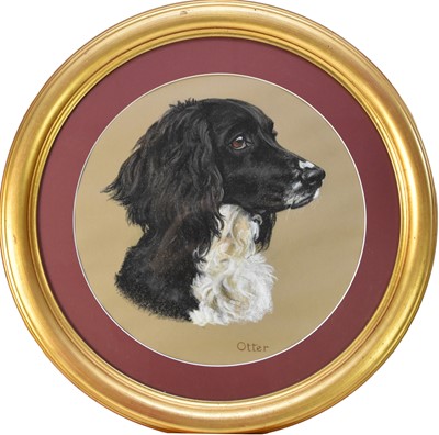 Lot 275 - Mary Browning (English, late 20th century), portrait of a spaniel, 'Otter', pastel