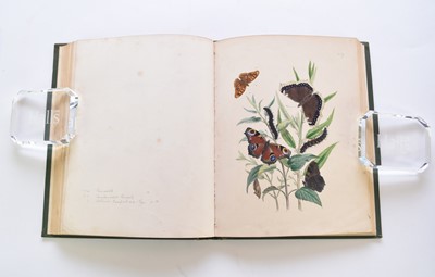Lot 62 - HUMPHRIES & WESTWOOD, British Moths and their Transformations