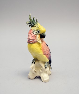 Lot 392 - Karl Ens porcelain model of a cockatoo