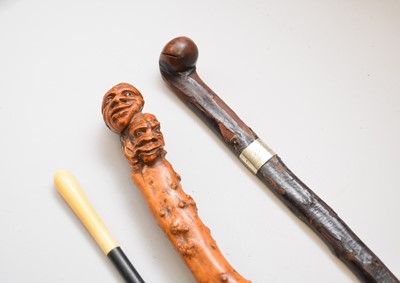 Lot 249 - Two 19th/20th century walking sticks and an opera cane