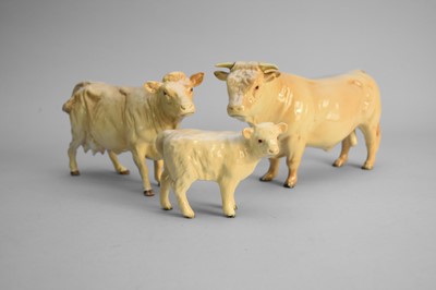 Lot 202 - Beswick Charolais cattle family group