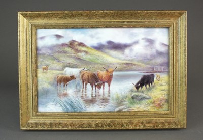 Lot 303 - Harcourt China porcelain plaque painted with Highland Cattle