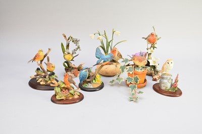 Lot 531 - Large group of birds and flowers, including Arden Sculptures, Country Artists and Border Fine Arts