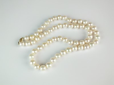 Lot 250 - A single strand uniform cultured pearl necklace