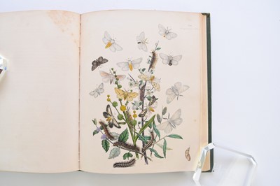 Lot 10 - HUMPHREYS & WESTWOOD, British Moths and their Transformations