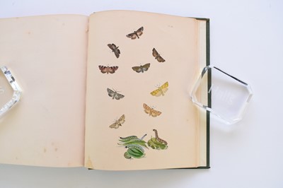 Lot 10 - HUMPHREYS & WESTWOOD, British Moths and their Transformations