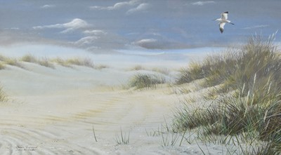 Lot 211 - Steven Townsend (b.1950) Avocet Flying over the Sand Dunes