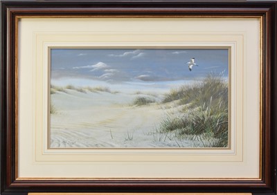 Lot 211 - Steven Townsend (b.1950) Avocet Flying over the Sand Dunes
