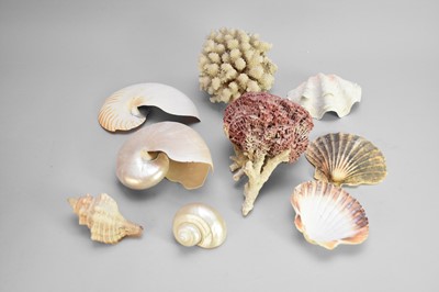 Lot 733 - An assembled collection of sea shells and corals