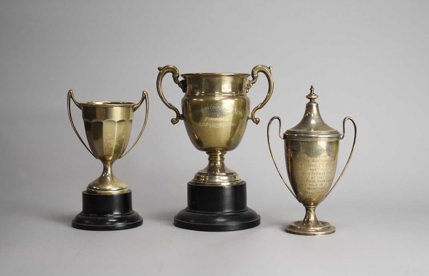 Lot 16 - Three silver trophy cups