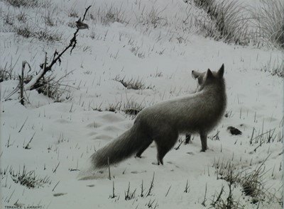 Lot 217 - Terence Lambert (b.1951) Fox in the Snow