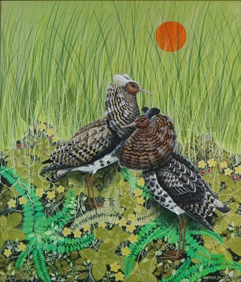 Lot 219 - Michael Warren (b.1938) Ruffs