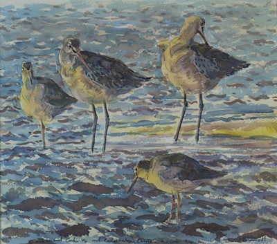 Lot 221 - David Bennett SWLA (b.1969) Blacktailed Godwits and Redshanks