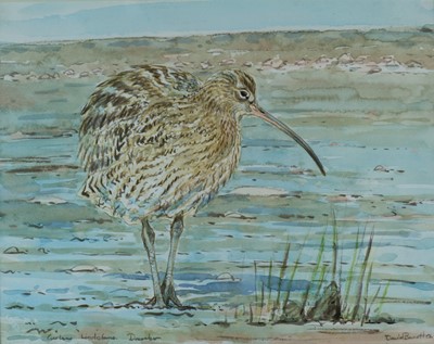 Lot 222 - David Bennett SWLA (b.1969) Curlew, Lindisfarne