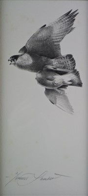 Lot 183 - Terence Lambert (b.1951) Peregrine with Woodpigeon