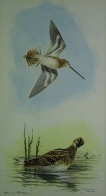 Lot 215 - Bruce Edward Pearson (b.1950) Two Studies of Snipe and Salmon