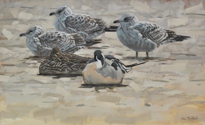 Lot 146 - John Threlfall SWLA (b.1958) Plumage Patterns