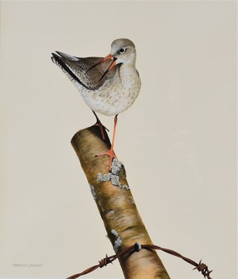 Lot 212 - Terence Lambert (b.1951) Redshank Perched on a Post