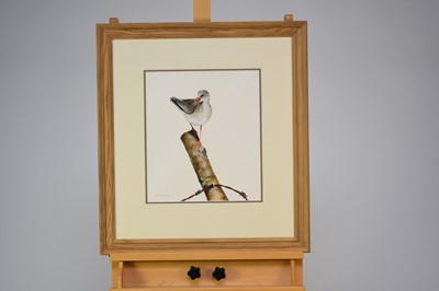 Lot 212 - Terence Lambert (b.1951) Redshank Perched on a Post